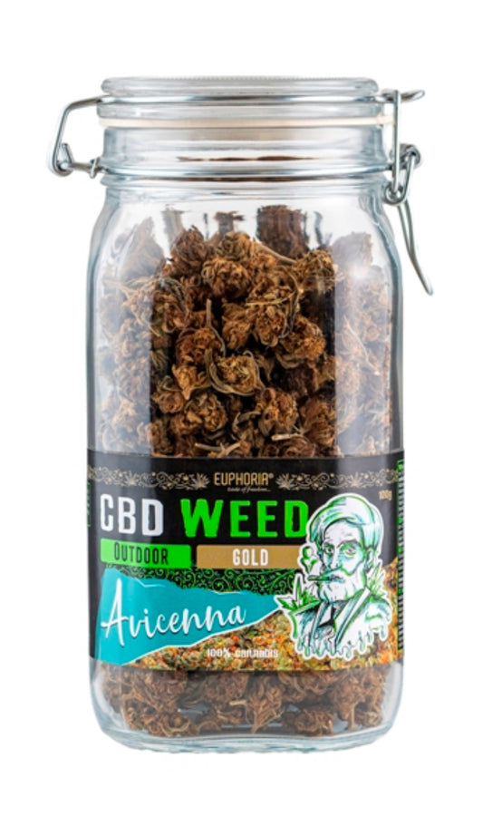 Euphoria CBD Weed Glass Avicenna 100g